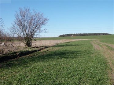 działka na sprzedaż 31600m2 działka Lublewo Gdańskie