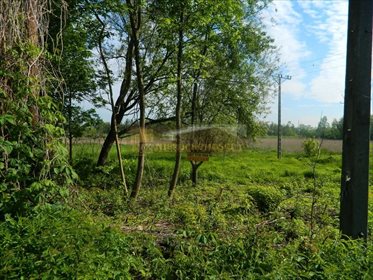 działka na sprzedaż 3510m2 działka Sosnowiec, Porąbka, Bolesława Krupińskiego