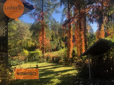 dom na sprzedaż 100m2 dom Dłużek