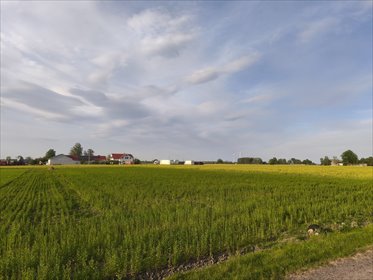 działka na sprzedaż 3002m2 działka Wola Miedniewska