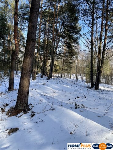 działka na sprzedaż 1500m2 działka Łosie