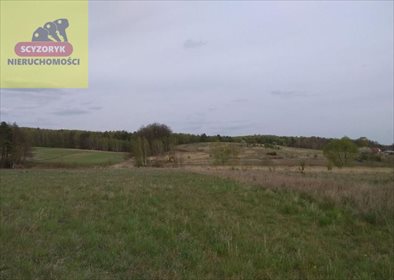 działka na sprzedaż 1000m2 działka Szewce, Kredowa