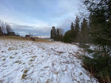 działka na sprzedaż 2607m2 działka Bukowina Tatrzańska, Bukowina Tatrzańska