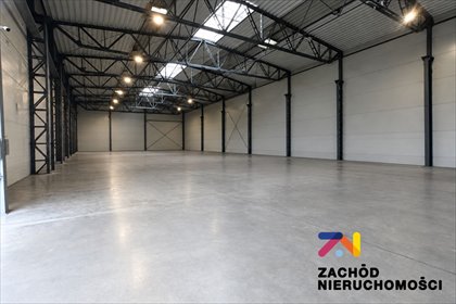 lokal użytkowy na wynajem 1900m2 lokal użytkowy Zielona Góra