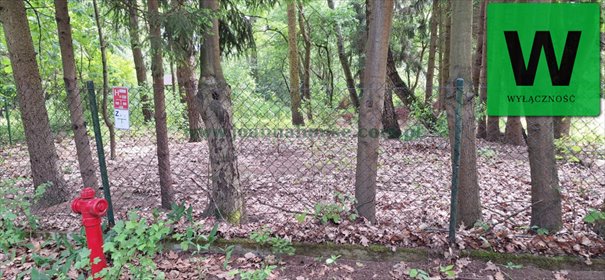 działka na sprzedaż 468m2 działka Lipowo