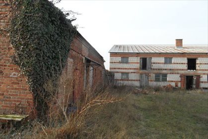 Działka budowlana na sprzedaż Olsza 12 000m2 Foto 3
