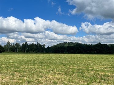 Do sprzedania działka 11 68 m² w Kowarach z potencjałem działka Kowary