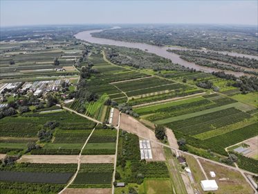 Działka inna na sprzedaż Wola Magnuszewska 5 440m2 Foto 1