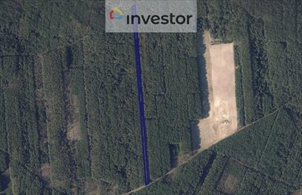 Działka leśna na sprzedaż Grabowiec 7 800m2 Foto 1