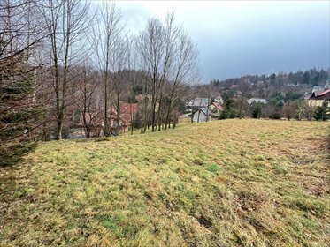 działka na sprzedaż 1568m2 działka Sosnówka