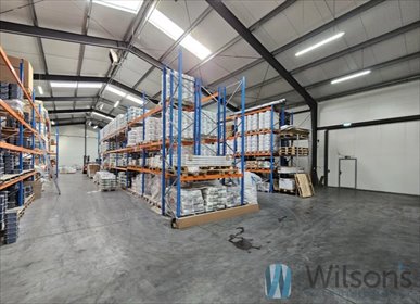 lokal użytkowy na wynajem 1000m2 lokal użytkowy Przypki