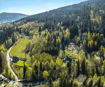 działka na sprzedaż 5959m2 działka Kletno, Kletno