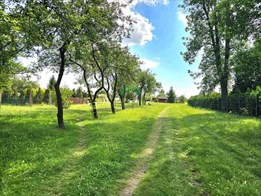 działka na sprzedaż 400m2 działka Panki