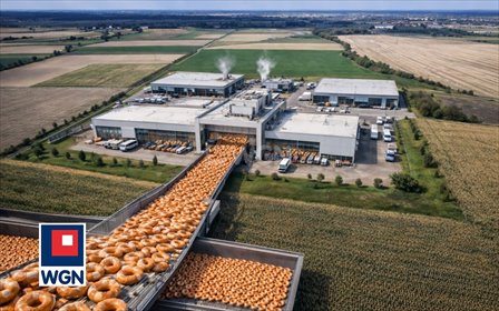 działka na sprzedaż 329340m2 działka Kliszkowice, Kliszkowice, Kliszkowice