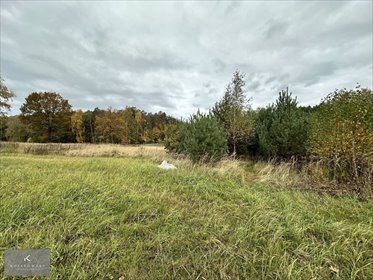 Na sprzedaż działki budowlano-rolne w Drołtowicach 2 281 m² działka Drołtowice