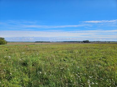 Działka 1578 m² z mediami i widokiem - rozliczenie za mieszkanie. działka Szymanów