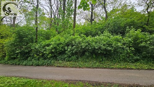 Do sprzedania działka budowlana 1320 m² z mediami w Karniów działka Karniów