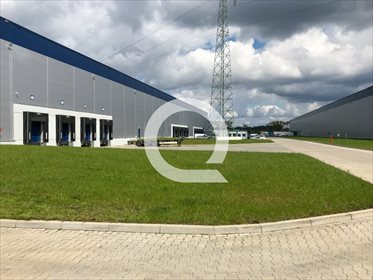 Magazyn na wynajem Nowy Świat 6 909m2 Foto 2