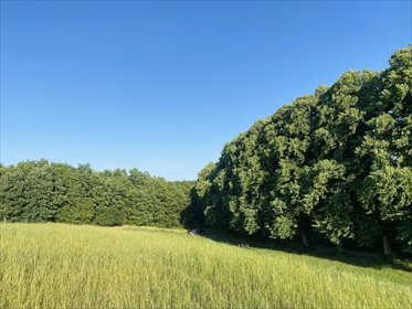 Działka budowlana na sprzedaż Łapino Kartuskie 1 500m2 Foto 2