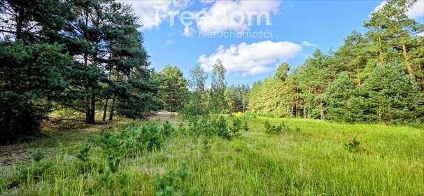Działka budowlana 7017 m² z MPZP - Sztumskie Pole działka Sztumskie Pole, Łąkowa