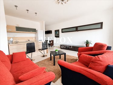 Sprzedam komfortowe mieszkanie 40,9 m² z balkonem w Szczecinie mieszkanie Szczecin, Śródmieście, Potulicka