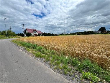 Działka 3158 m² w Dłużynie Dolnej - spokojna okolica działka Dłużyna Dolna