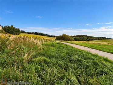 Działka budowlano-rolna 37 arów z pozwoleniem na dom. działka Sąspów