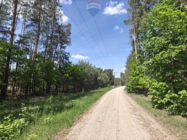 Działka z lasem 5400 m² w Krzyżówce – idealna pod dom działka Krzyżówka, Kolejowa