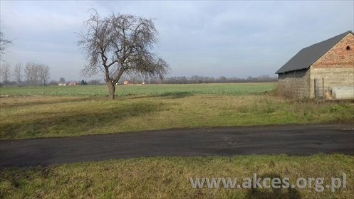Działka rolna z siedliskiem, blisko CPK, 55 700 m2 działka Żaby