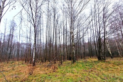 działka na sprzedaż 15800m2 działka Woskrzenice Duże