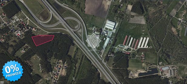Działka leśna na sprzedaż Kuczek 14 696m2 Foto 2