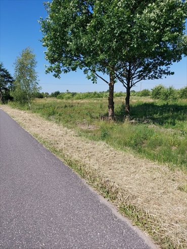 działka na sprzedaż 1197m2 działka Prażmów