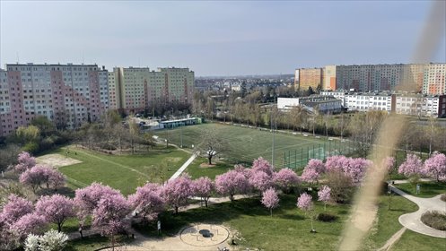 mieszkanie na sprzedaż 63m2 mieszkanie Wrocław, Krzyki, Gaj, Krynicka