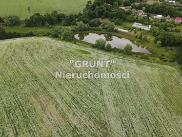 Działka inna na sprzedaż Nowy Dwór 3 000m2 Foto 6
