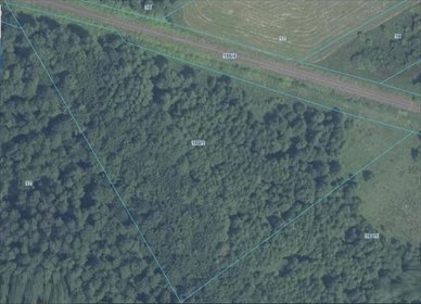 działka na sprzedaż 14200m2 działka Sińczyca, Sińczyca