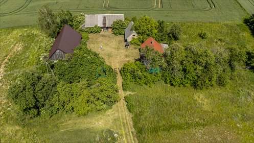 Polecam urokliwe siedlisko 14 476 m² z potencjałem inwestycyjnym działka Białogóry, Białogóry 28