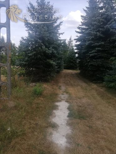 Działka budowlana na sprzedaż Biskupice, Biskupskie Drogi 1 564m2 Foto 7