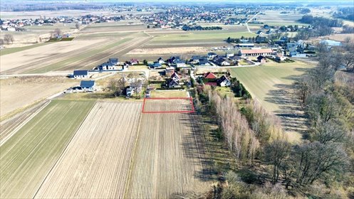Działka budowlana na sprzedaż Przyszowice 1 150m2 Foto 3