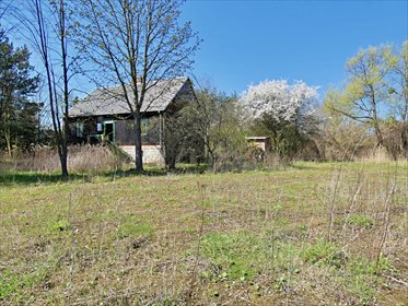 Działka siedliskowa pod dzierżawę Obórki 2 000m2 Foto 3