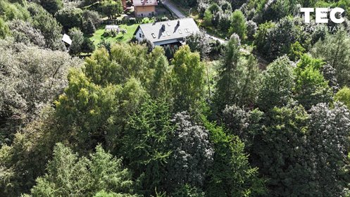 Działka 7 601 m2 z lasem i bunkrami w Nielepicach działka Nielepice