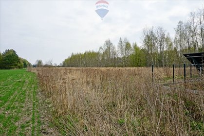 Inwestycyjne działki pod zabudowę w Skierniewicach działka Skierniewice, Kasztanowa