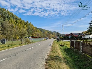 Działka budowlana na sprzedaż Ochotnica Górna 5 000m2 Foto 5