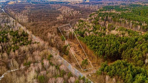 Polecam działkę 8 221 m² w Załużu z lasem i potencjałem działka Załuże