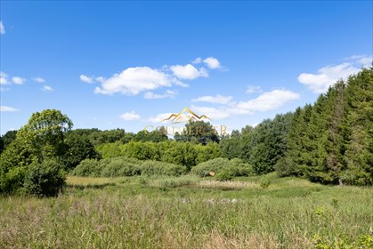 Działka z stawem i zielenią w Wierzchowie - zapraszam działka Wierzchowo