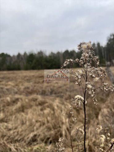 działka na sprzedaż 1000m2 działka Biały Ług