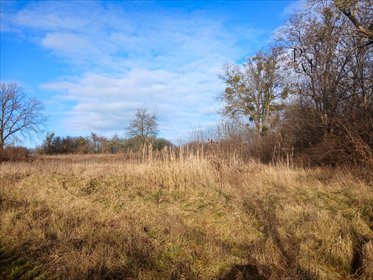 działka na sprzedaż 2296m2 działka Piskorzyna