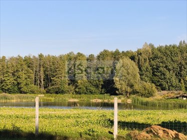 Działka 1836 m² w Ojrzanowie z MPZP - zapraszam działka Ojrzanów