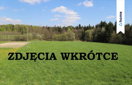 działka na sprzedaż 2000m2 działka Przedbórz