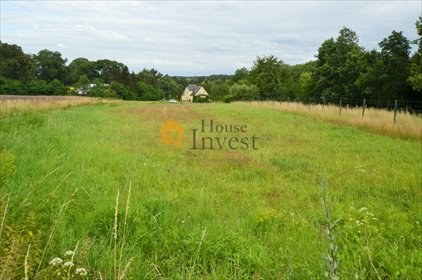 działka na sprzedaż 4677m2 działka Wojcieszyn