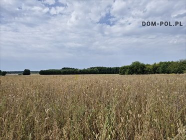 Działka 4,75 ha z możliwością siedliska w Malinówce działka Malinówka